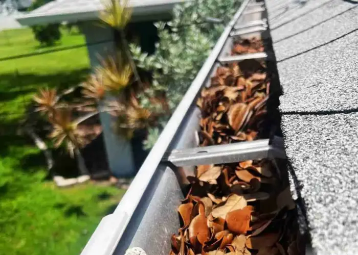 Mount Pleasant gutter cleaning home page